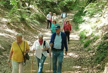 TRES BELLE BALADE ORGANISEE AU DEPART DU BOIS DES REVES !